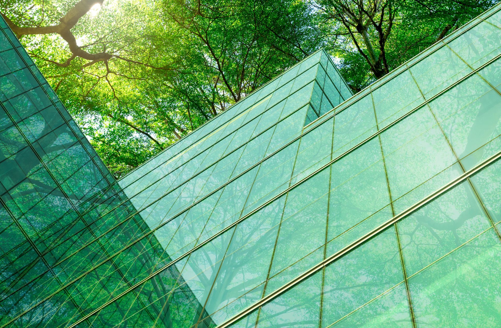 Sustainable building materials and fastener trends cover