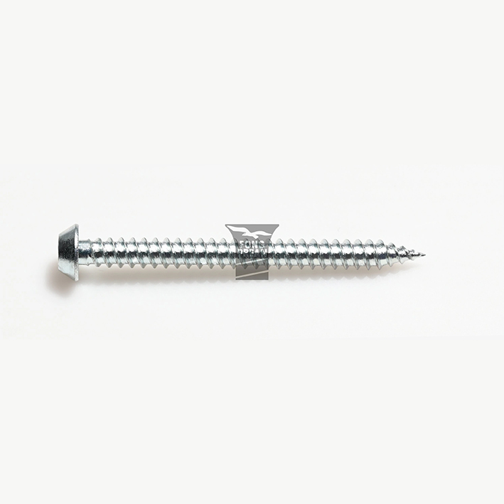 Cap/ compact Head wood screw
