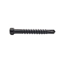 Cylindrical Head, U Cutting, Drill Point